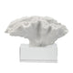 Davy Rising Faux Coral Accent | Clear Glass | Luxe White Polyresin 9"