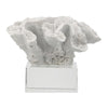 Davy Rising Faux Coral Accent | Clear Glass | Luxe White Polyresin 9"