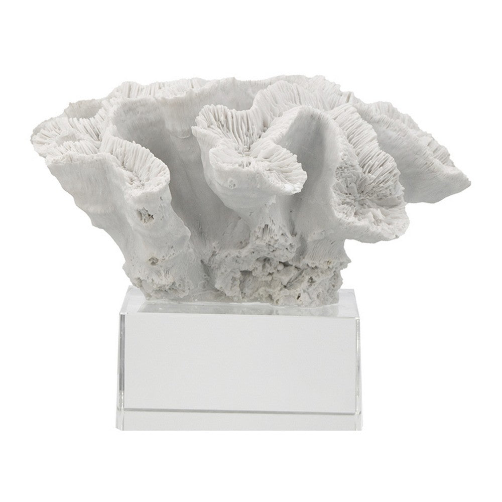 Davy Rising Faux Coral Accent | Clear Glass | Luxe White Polyresin 9"