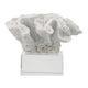 Davy Rising Faux Coral Accent | Clear Glass | Luxe White Polyresin 9"