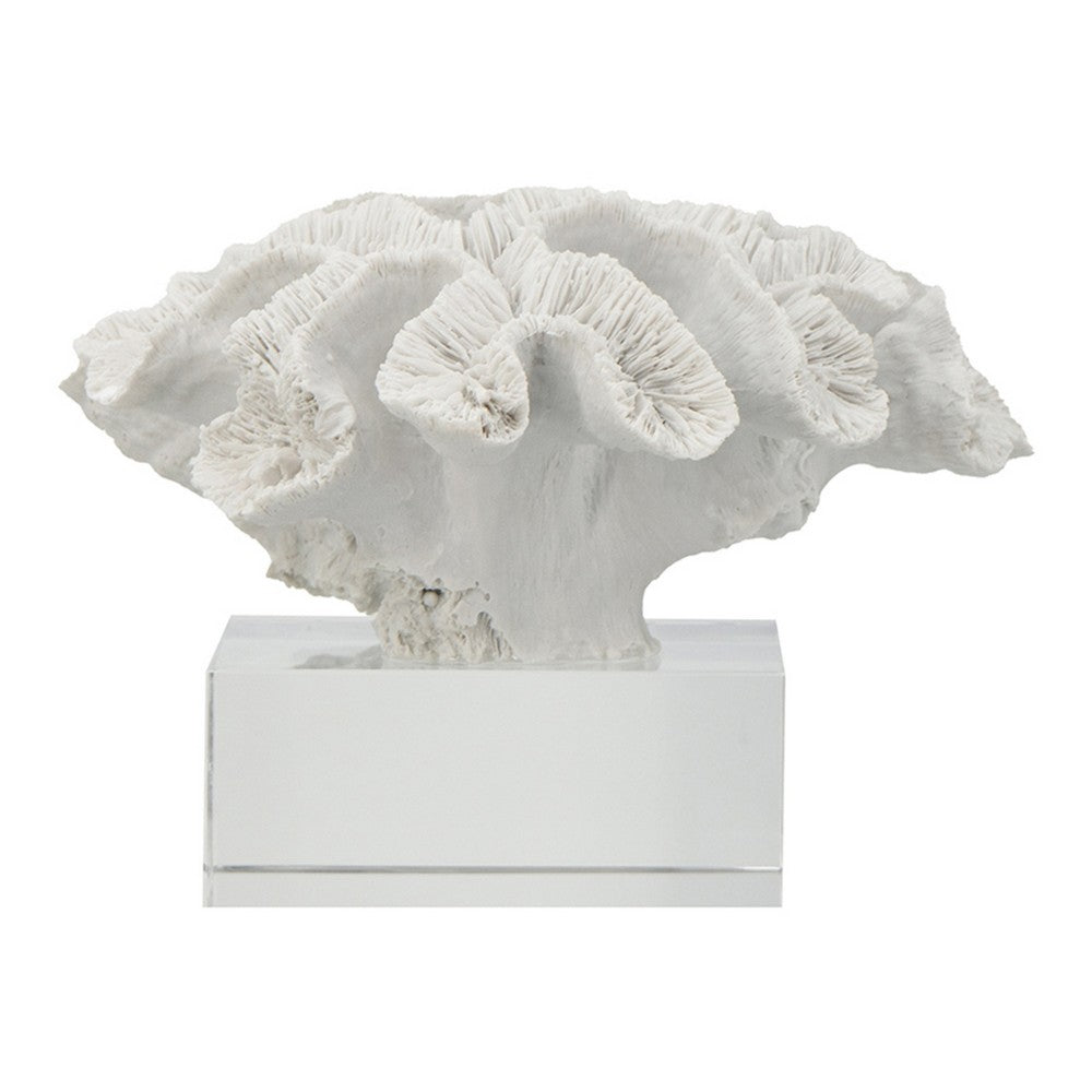 Davy Rising Faux Coral Accent | Clear Glass | Luxe White Polyresin 9"