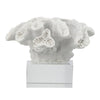 Davy Rising Faux Coral Accent | Clear Glass | Luxe White Polyresin 9"