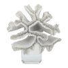 Davy Rising Faux Coral Accent | Clear Glass | Luxe White Polyresin 9"