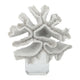 Davy Rising Faux Coral Accent | Clear Glass | Luxe White Polyresin 9"