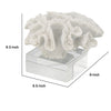 Davy Rising Faux Coral Accent | Clear Glass | Luxe White Polyresin 9"