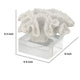 Davy Rising Faux Coral Accent | Clear Glass | Luxe White Polyresin 9"