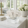 Davy Rising Faux Coral Accent | Clear Glass | Luxe White Polyresin 9"