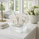 Davy Rising Faux Coral Accent | Clear Glass | Luxe White Polyresin 9"