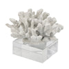 Davy Inna Rising Faux Coral Accent | Clear Glass | Natural White Resin 8"