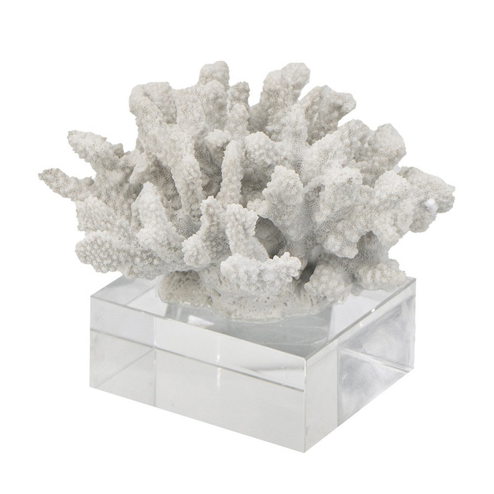 Davy Inna Rising Faux Coral Accent | Clear Glass | Natural White Resin 8"