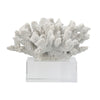 Davy Inna Rising Faux Coral Accent | Clear Glass | Natural White Resin 8"