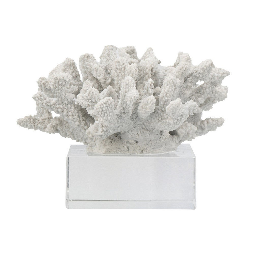 Davy Inna Rising Faux Coral Accent | Clear Glass | Natural White Resin 8"