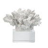 Davy Inna Rising Faux Coral Accent | Clear Glass | Natural White Resin 8"