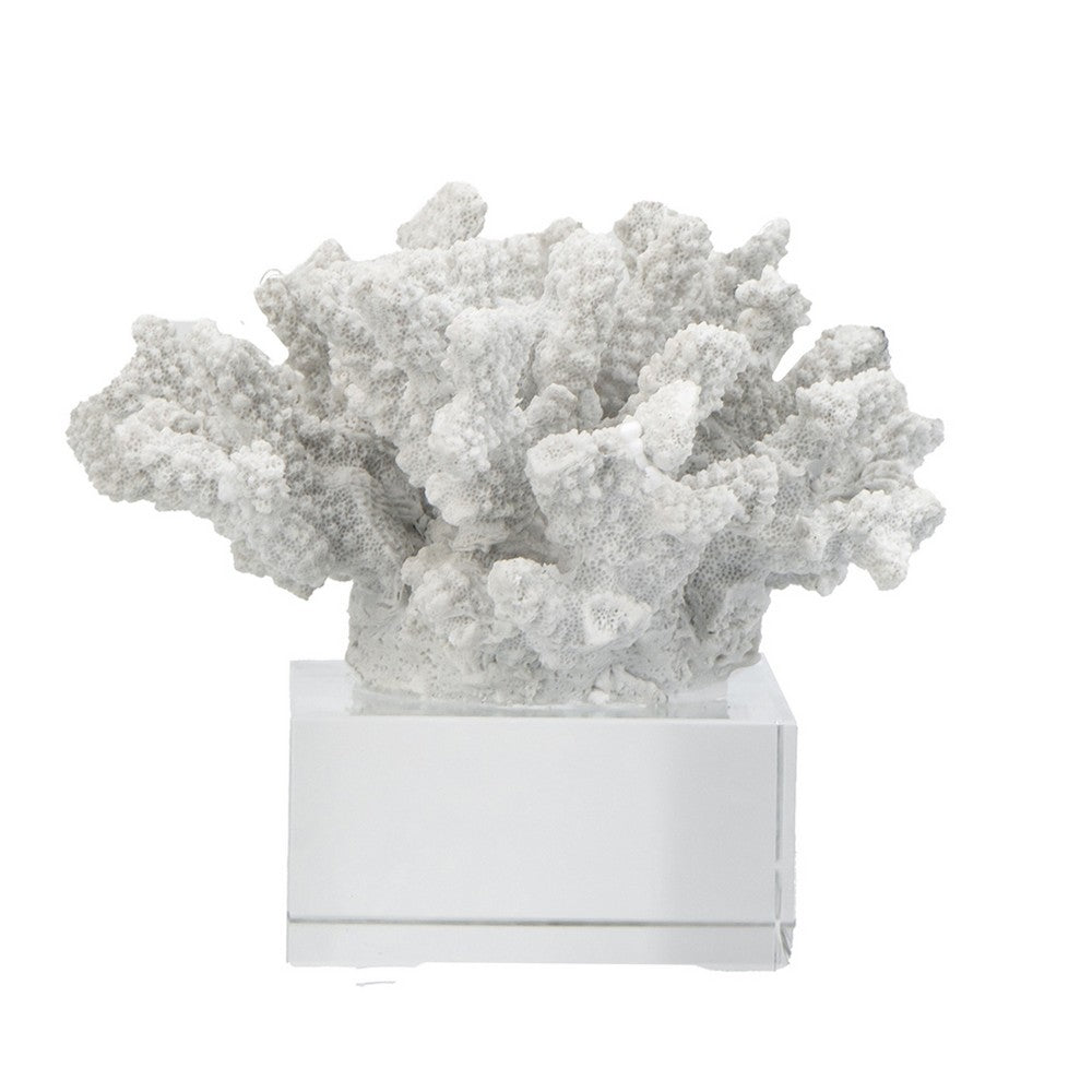 Davy Inna Rising Faux Coral Accent | Clear Glass | Natural White Resin 8"