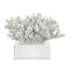 Davy Inna Rising Faux Coral Accent | Clear Glass | Natural White Resin 8"