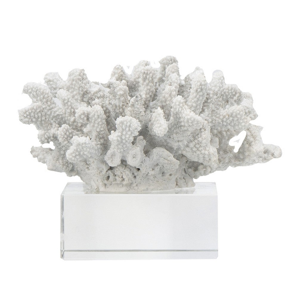 Davy Inna Rising Faux Coral Accent | Clear Glass | Natural White Resin 8"