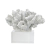 Davy Inna Rising Faux Coral Accent | Clear Glass | Natural White Resin 8"