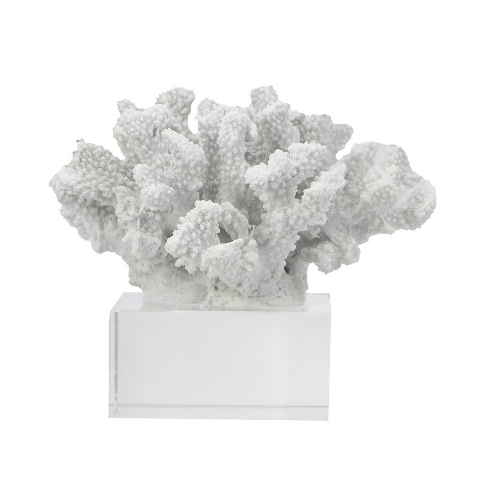 Davy Inna Rising Faux Coral Accent | Clear Glass | Natural White Resin 8"