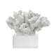 Davy Inna Rising Faux Coral Accent | Clear Glass | Natural White Resin 8"