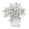 Davy Inna Rising Faux Coral Accent | Clear Glass | Natural White Resin 8"