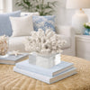 Davy Inna Rising Faux Coral Accent | Clear Glass | Natural White Resin 8"