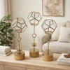 Suzie Jada Terrarium Lantern Set of 3 | Bronze Iron | Mango Wood 15 17 19"