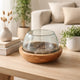 Kristy Round Decorative Bowl w Natural Teak Wood Base | Glass Cover 10"