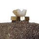 Sean Bottle w Zeolite Stone Lid | Black-Gray Glass | Gold Aluminum 12"