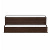 Rahy Bar Display Shelf w LED & Music | 2 Step Design | 20" Walnut Brown