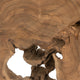 Upin Organic Art Sculpture on Base | Brown Wood Black Metal | 18"