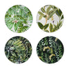 Linda Charger Plates Set of 4 | Foliage Motifs | Green-Black 13"