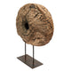 Coral Authentic Wood Cart-Wheel Sculpture on Black Stand | 27"