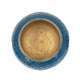 Dany Lidded Pot | Crocodile Texture | Watertight Base | Blue Aluminum 9"