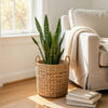 Farmhouse Storage Basket | Natural Brown Hyacinth | Arrow Woven | 11"