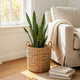 Farmhouse Storage Basket | Natural Brown Hyacinth | Arrow Woven | 11"