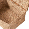 Lidded Storage Trunk with Handles | 26" Light Brown Hyacinth Woven