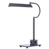 Modern Desk Lamp with LED Light & 2 USB Ports | 18" Iron Gray Finish