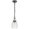 Lantern Accent Ceiling Pendant Light | Clear Glass Shade | 13" Black
