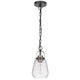 Lantern Accent Ceiling Pendant Light | Clear Glass Shade | 13" Black