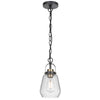 Lantern Accent Ceiling Pendant Light | Clear Glass Shade | 13" Black