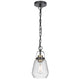 Lantern Accent Ceiling Pendant Light | Clear Glass Shade | 13" Black