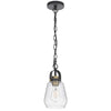 Lantern Accent Ceiling Pendant Light | Clear Glass Shade | 13" Black