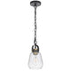 Lantern Accent Ceiling Pendant Light | Clear Glass Shade | 13" Black