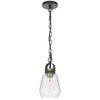 Lantern Accent Ceiling Pendant Light | Clear Glass Shade | 13" Black