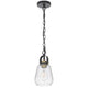 Lantern Accent Ceiling Pendant Light | Clear Glass Shade | 13" Black