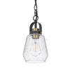Lantern Accent Ceiling Pendant Light | Clear Glass Shade | 13" Black
