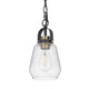 Lantern Accent Ceiling Pendant Light | Clear Glass Shade | 13" Black