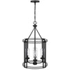 4-Light Chandelier with Clear Glass Shades | 26" Black Round Cage