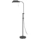 Arc Floor Lamp with Pull Chain | 42-58" Adjustable Pole | Gray Metal