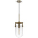 Pendant Light | Rounded Dome Glass Shade | Wood Base | Antique Brass